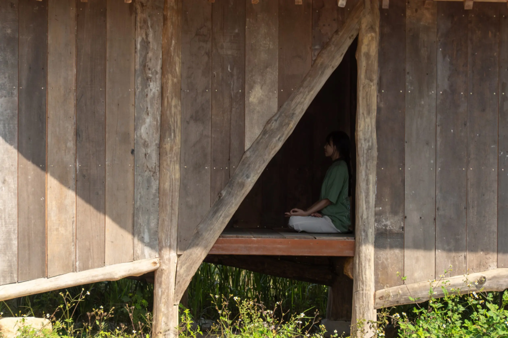 DSC01784-Enhanced-NR (1)